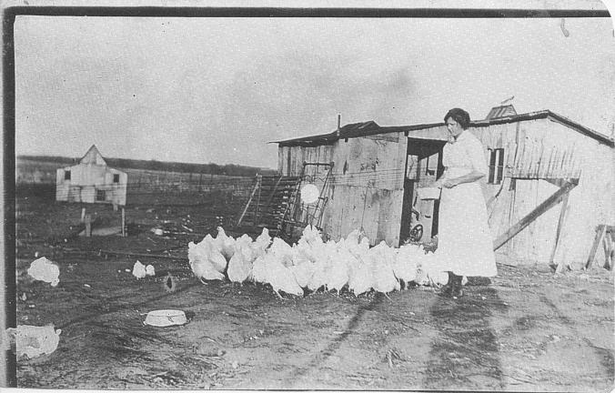 Ruth feeding chickens