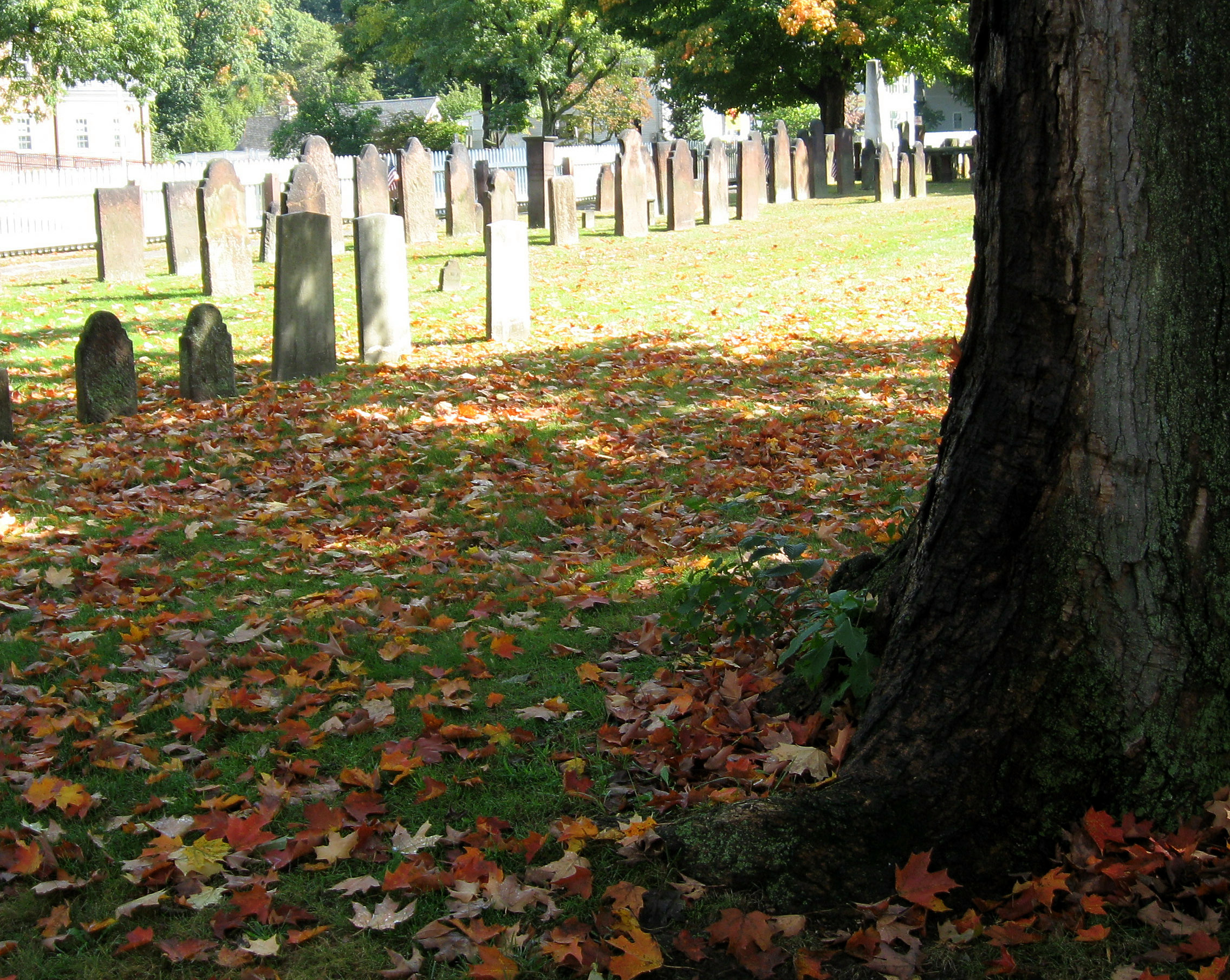 longmeadow cemetery